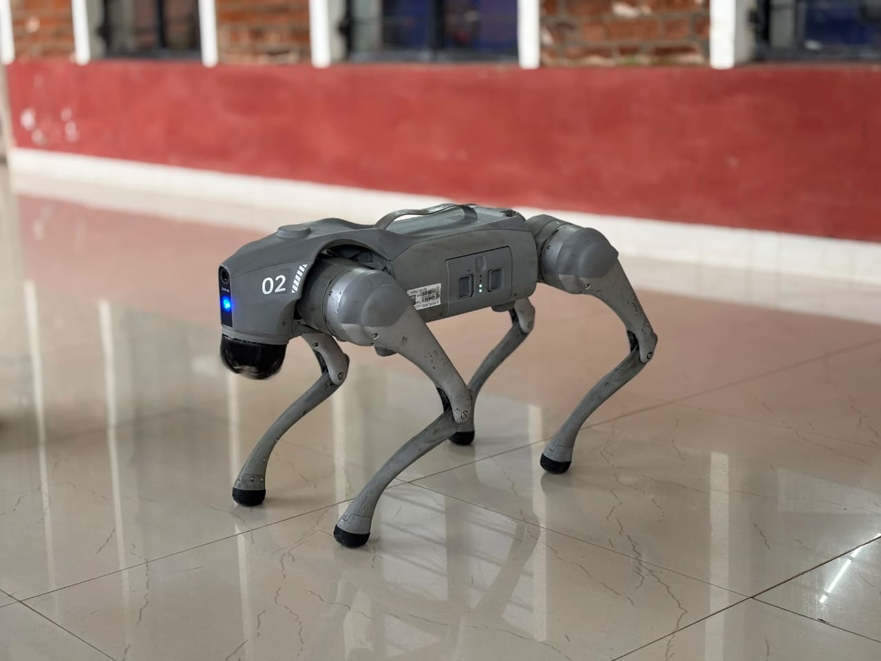 WhatsApp Image 2025-09-25 at 3.19.30 PM (1)